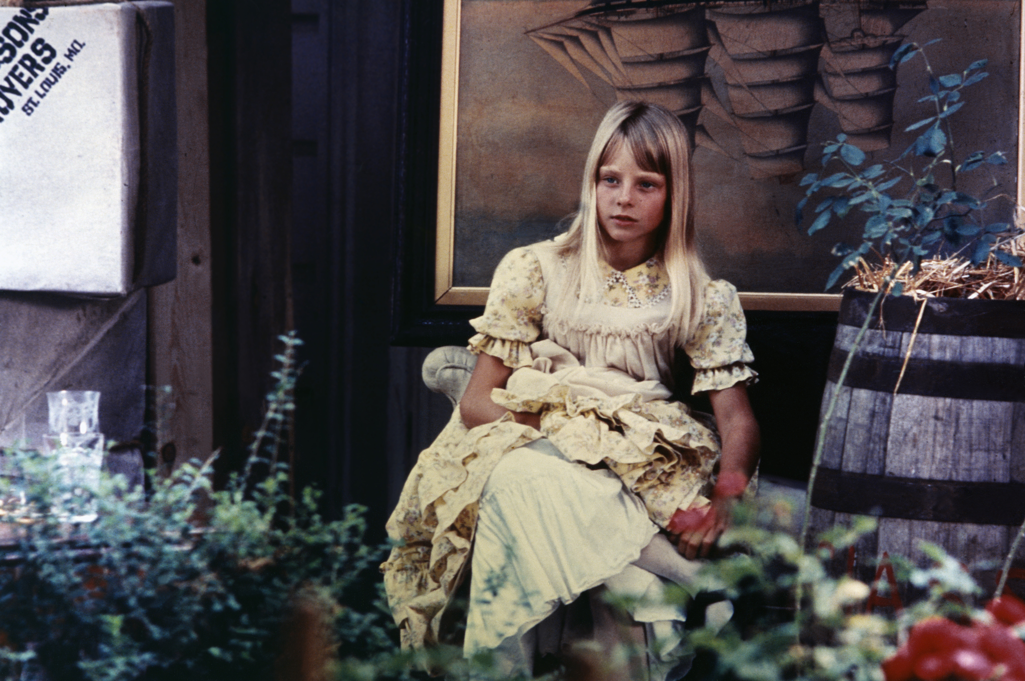 Napoleon and Samantha (1972) Screenshot 1 
