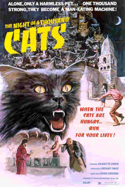 The Night of a Thousand Cats (1972) starring Anjanette Comer on DVD on DVD