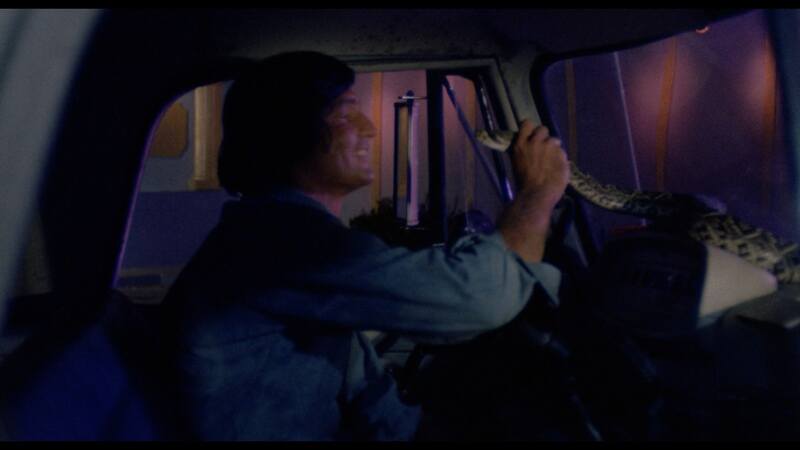 Stanley (1972) Screenshot 2