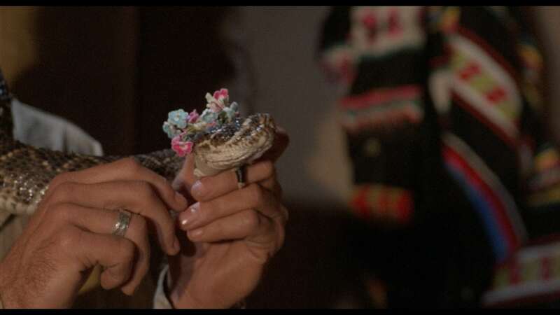 Stanley (1972) Screenshot 4