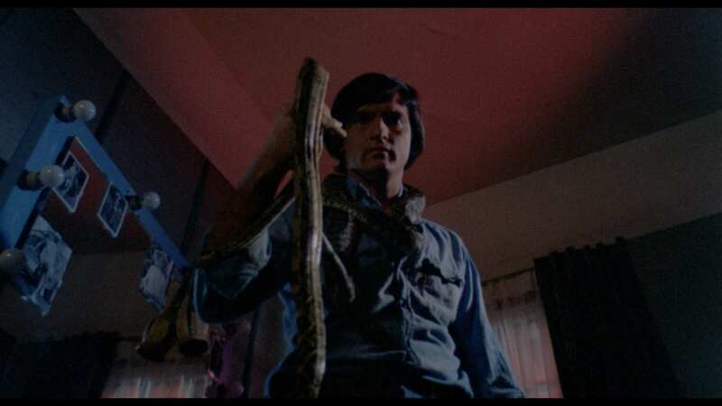 Stanley (1972) Screenshot 5