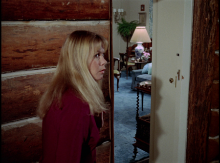 The Victim (1972) Screenshot 1