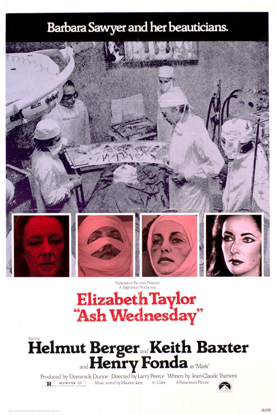 Ash Wednesday (1973) starring Elizabeth Taylor on DVD on DVD