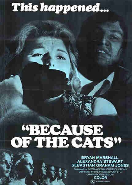 Because of the Cats (1973) Screenshot 4