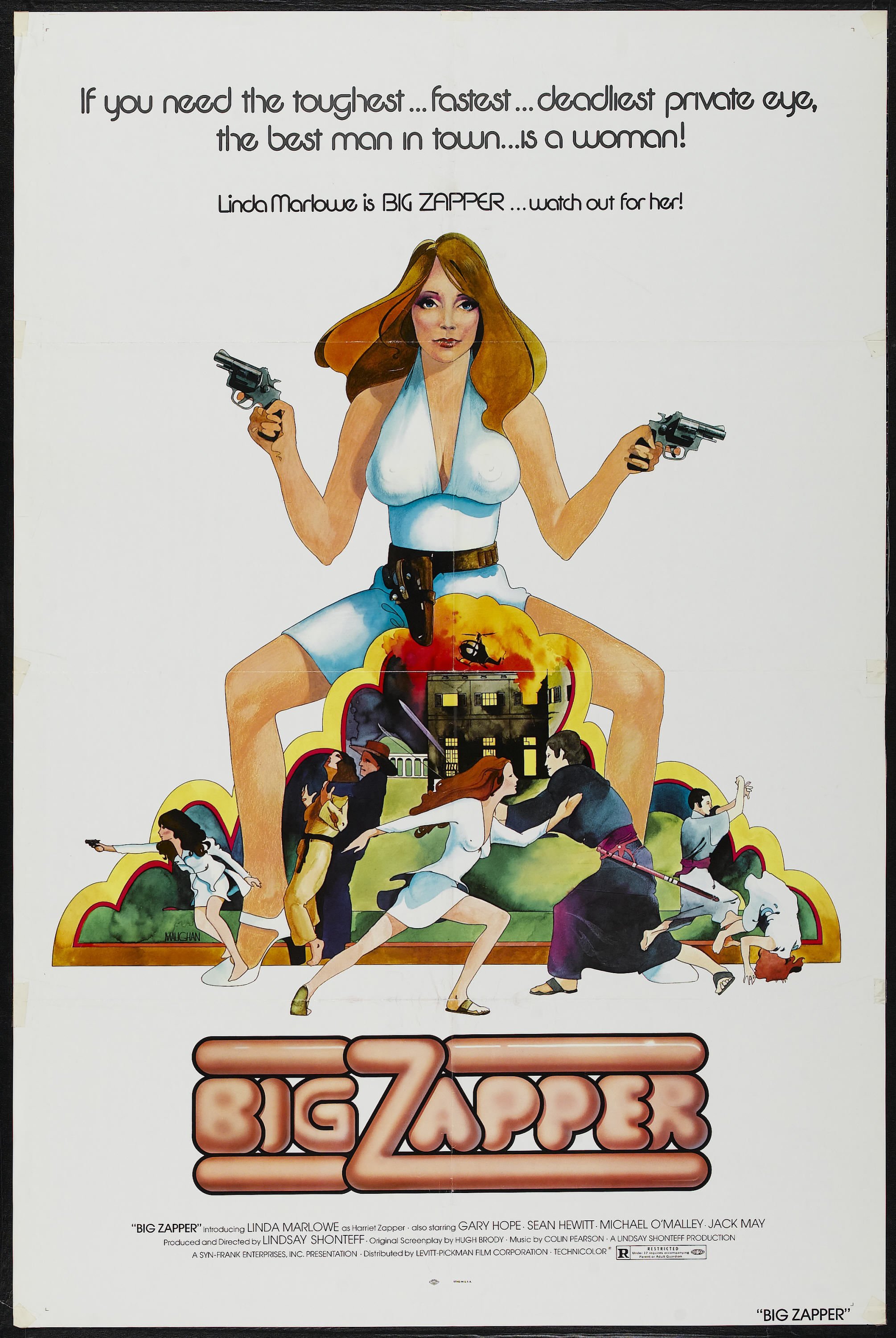 Big Zapper (1973) starring Linda Marlowe on DVD on DVD