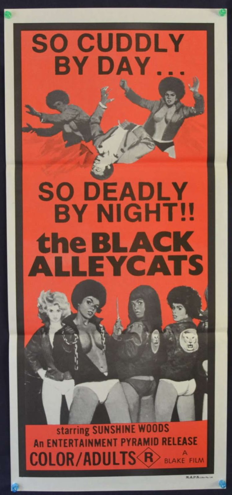The Black Alley Cats (1973) Screenshot 3 