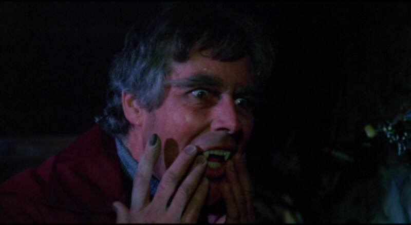 The Boy Who Cried Werewolf (1973) Screenshot 2