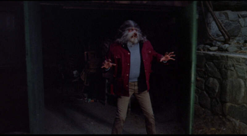 The Boy Who Cried Werewolf (1973) Screenshot 4