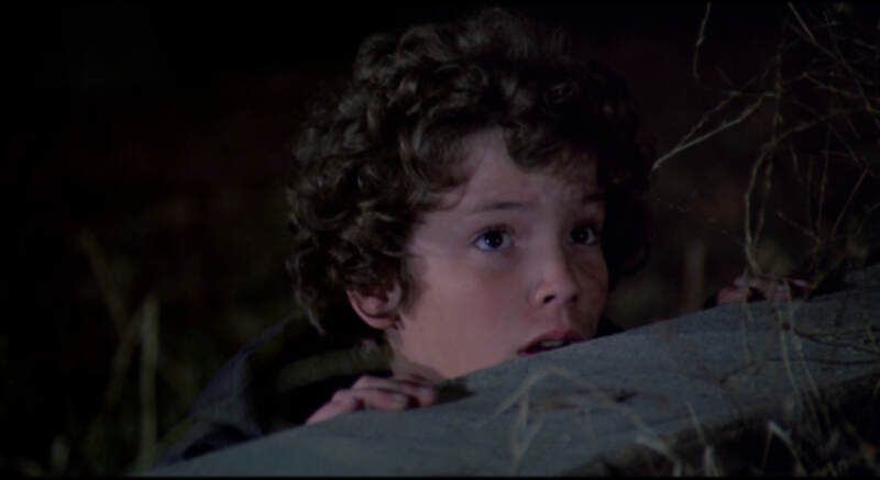 The Boy Who Cried Werewolf (1973) Screenshot 5
