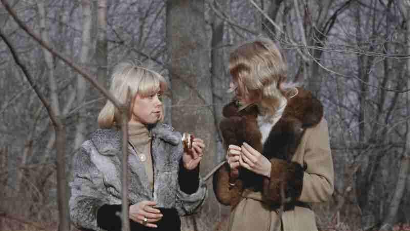 Confessions of a Young American Housewife (1974) Screenshot 4