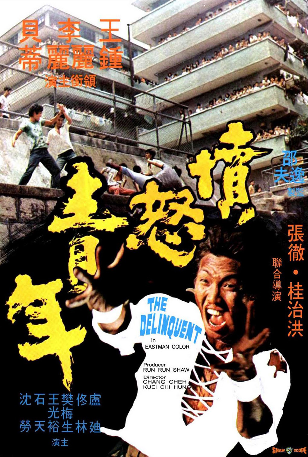 Fen nu qing nian (1973) with English Subtitles on DVD on DVD