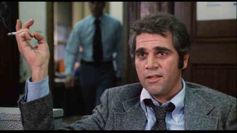 Detroit 9000 (1973) Screenshot 3