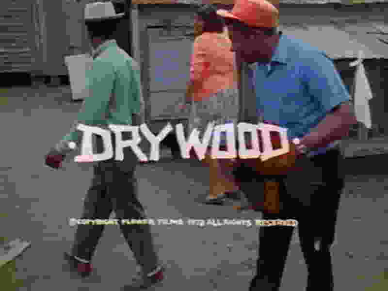 Dry Wood (1973) Screenshot 2