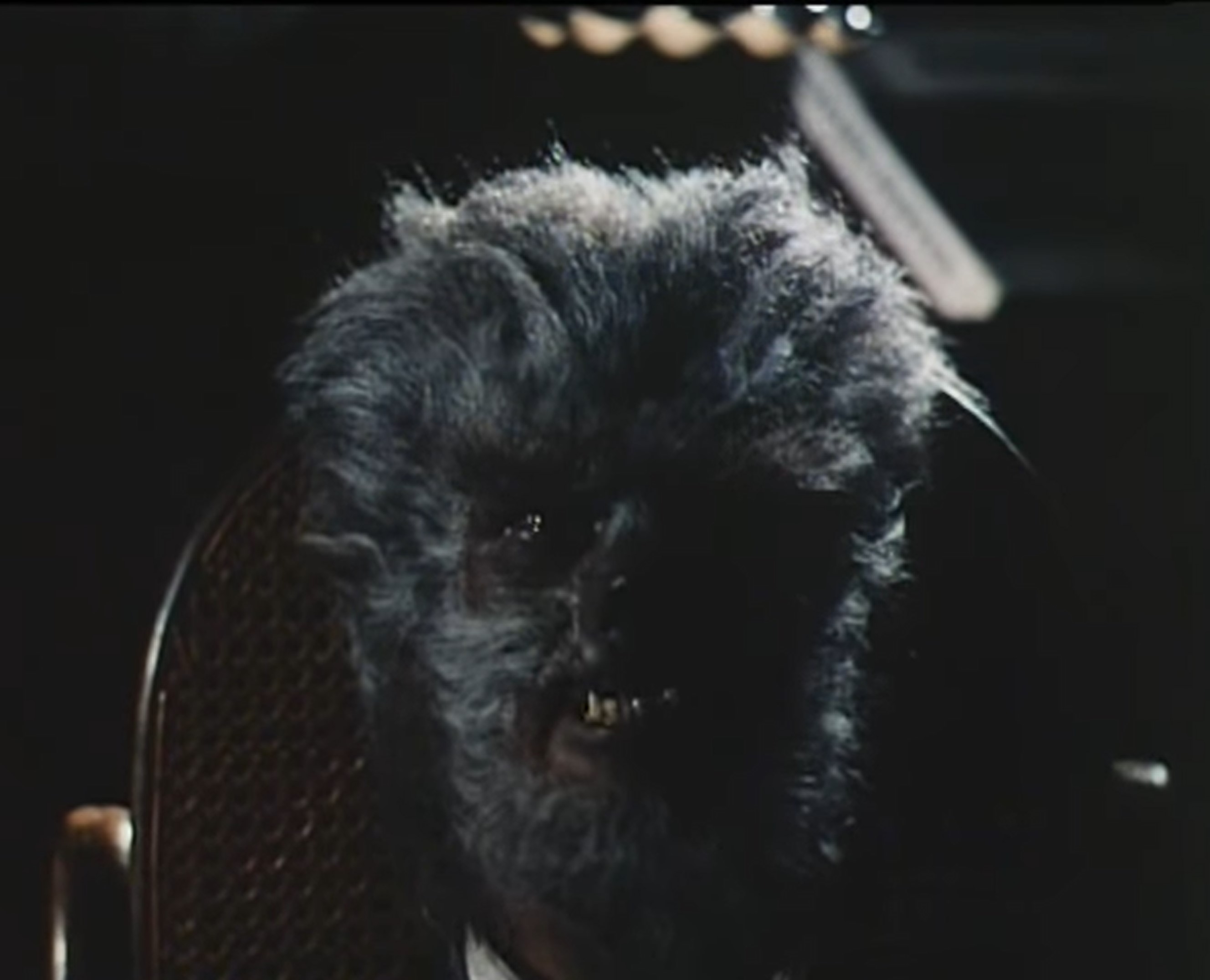 The Werewolf of Washington (1973) Screenshot 5