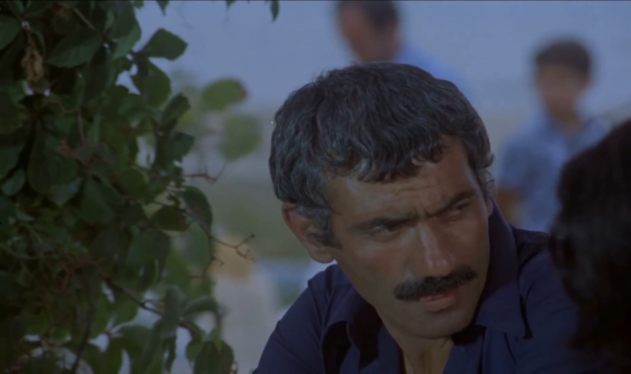 Arkadas (1974) Screenshot 3
