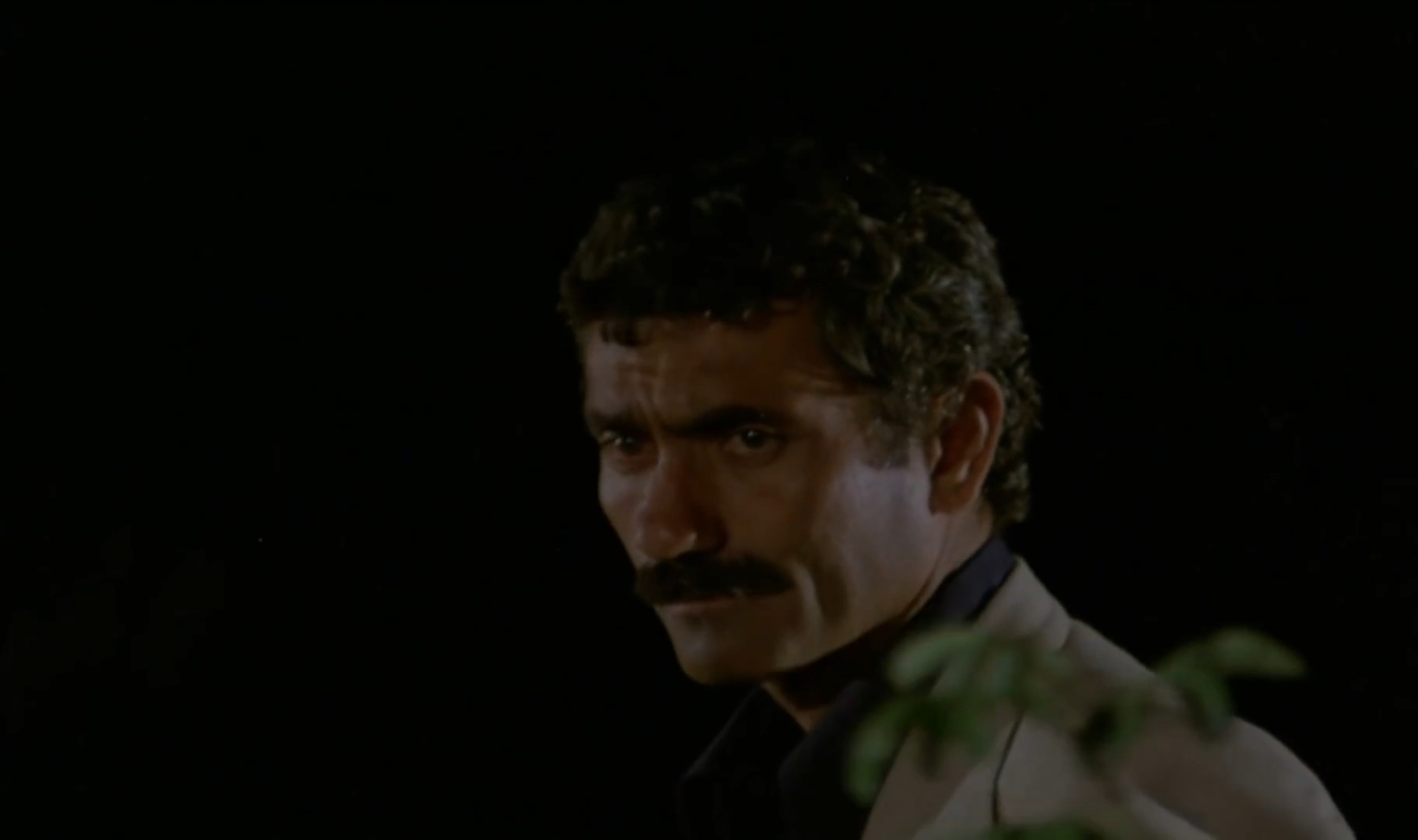 Arkadas (1974) Screenshot 4