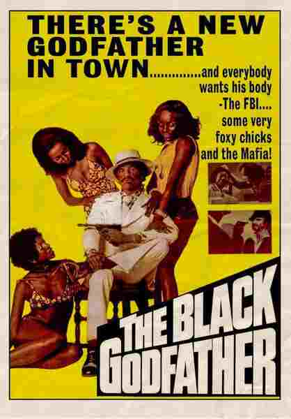 The Black Godfather (1974) starring Rod Perry on DVD on DVD