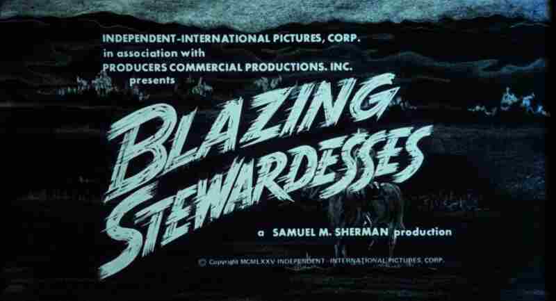 Blazing Stewardesses (1975) Screenshot 5