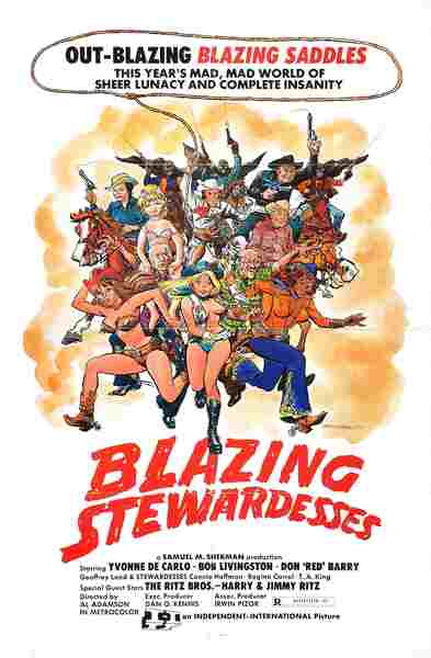 Blazing Stewardesses (1975) starring Yvonne De Carlo on DVD on DVD