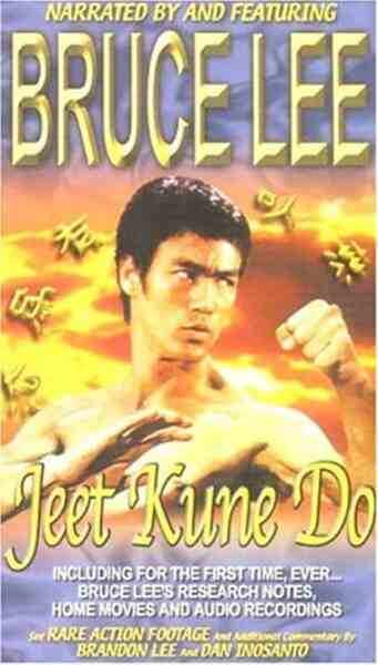 Bruce Lee's Deadly Kung Fu (1977) Screenshot 4