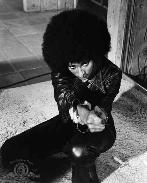 Foxy Brown (1974) Screenshot 3