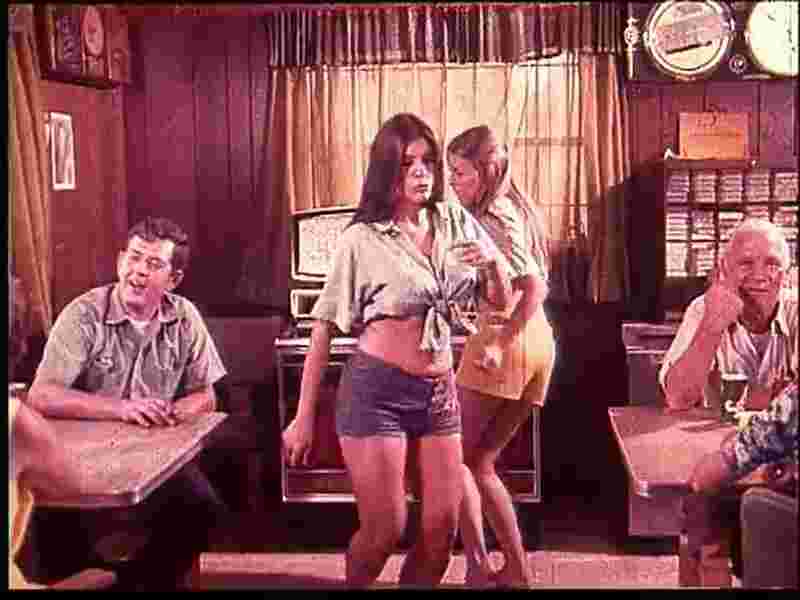 Hot Summer in Barefoot County (1974) Screenshot 3