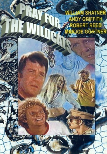 Pray for the Wildcats (1974) starring Andy Griffith on DVD on DVD