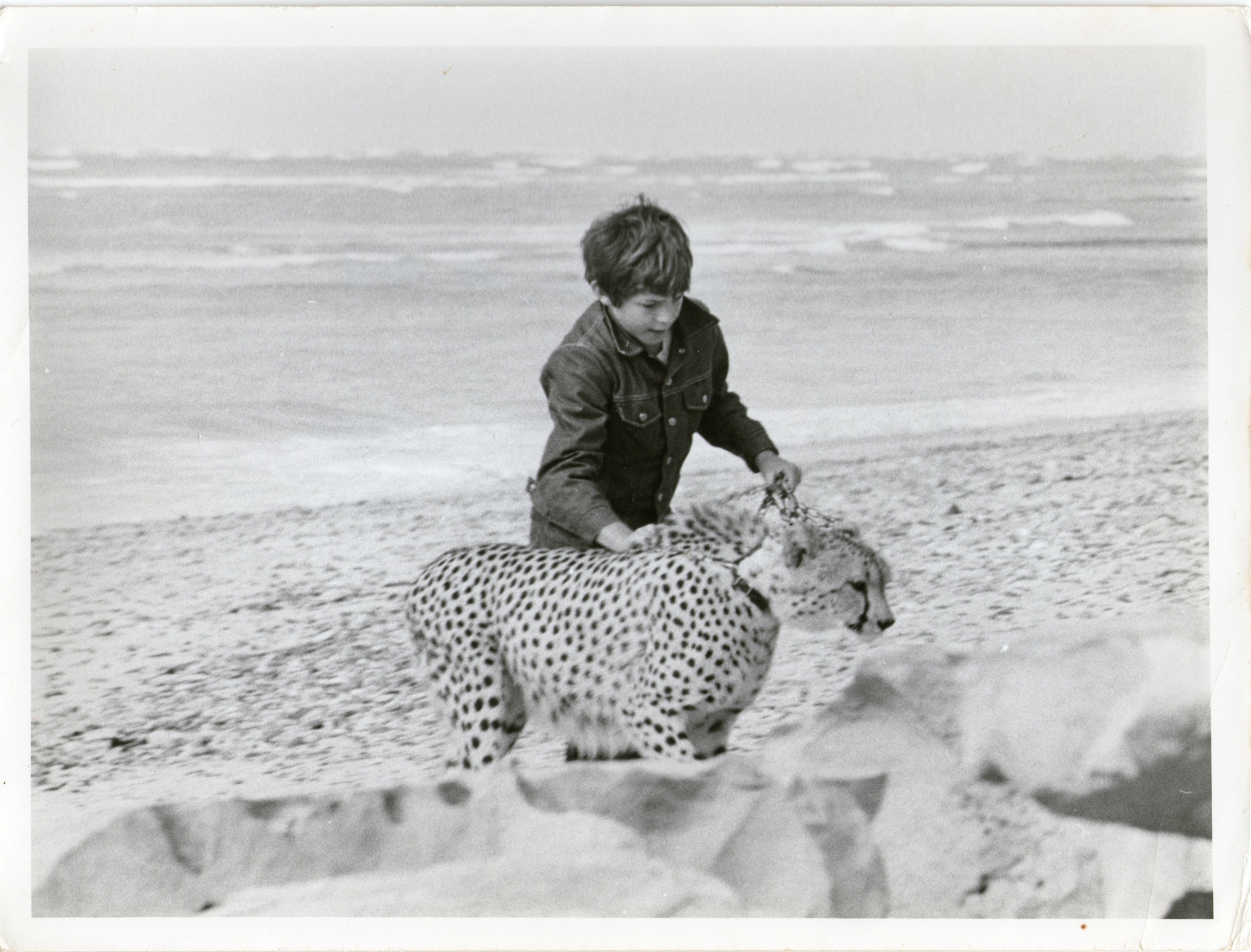 The Spots on My Leopard (1974) Screenshot 1