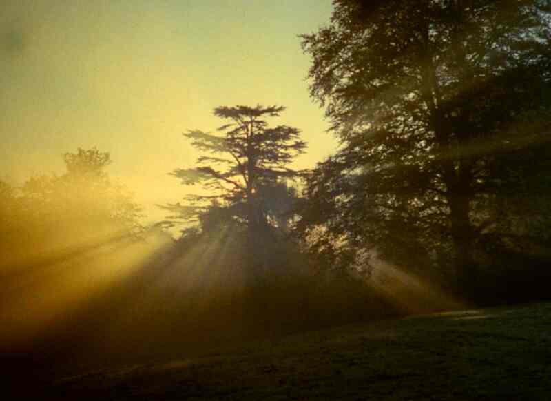 Symptoms (1974) Screenshot 2
