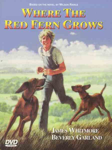 Where the Red Fern Grows (1974) Screenshot 1