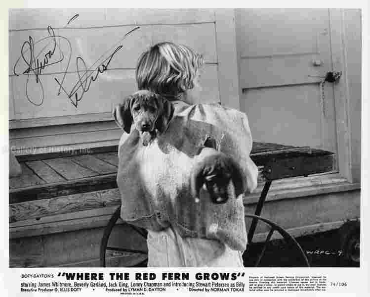 Where the Red Fern Grows (1974) Screenshot 3