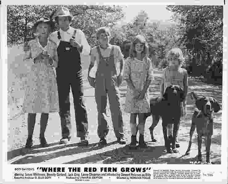 Where the Red Fern Grows (1974) Screenshot 5