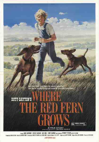 Where the Red Fern Grows (1974) starring James Whitmore on DVD on DVD