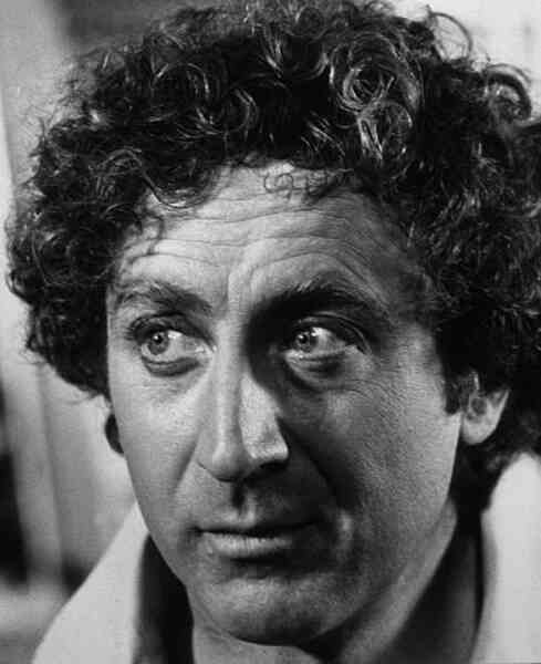The Adventure of Sherlock Holmes' Smarter Brother (1975) Screenshot 5