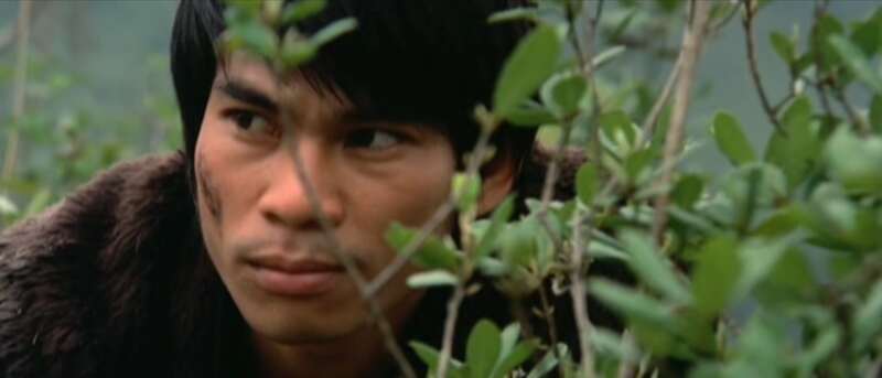 Tao wang (1975) Screenshot 1