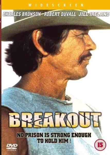 Breakout (1975) Screenshot 5