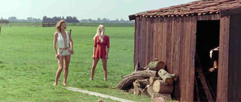 Mijn nachten met Susan, Olga, Albert, Julie, Piet & Sandra (1975) Screenshot 3