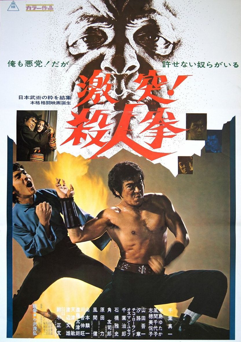 The Street Fighter (1974) with English Subtitles on DVD on DVD