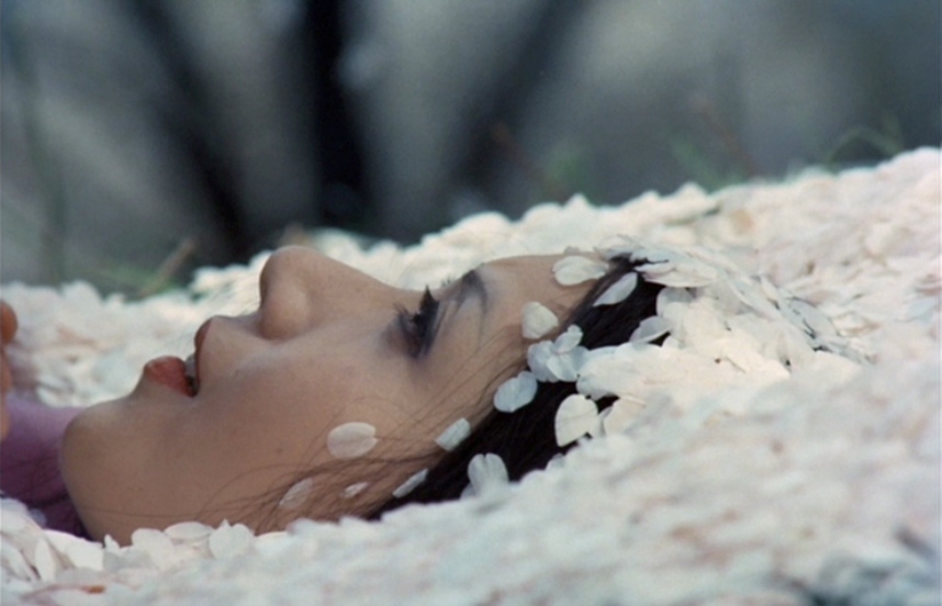 Under the Blossoming Cherry Trees (1975) Screenshot 5