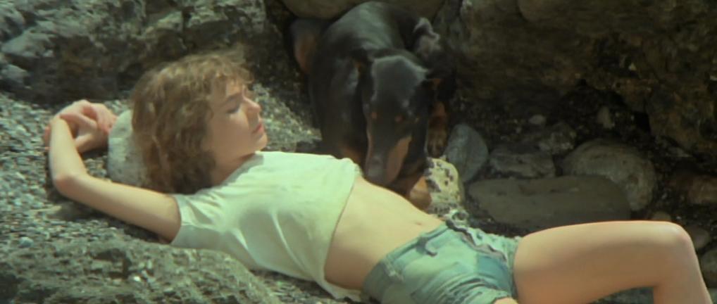 Dog Lay Afternoon (1976) Screenshot 1