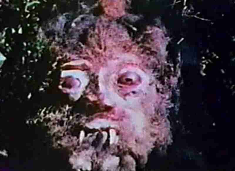 Curse of Bigfoot (1975) Screenshot 1