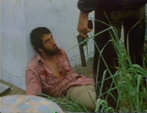 Tomcats (1976) Screenshot 3