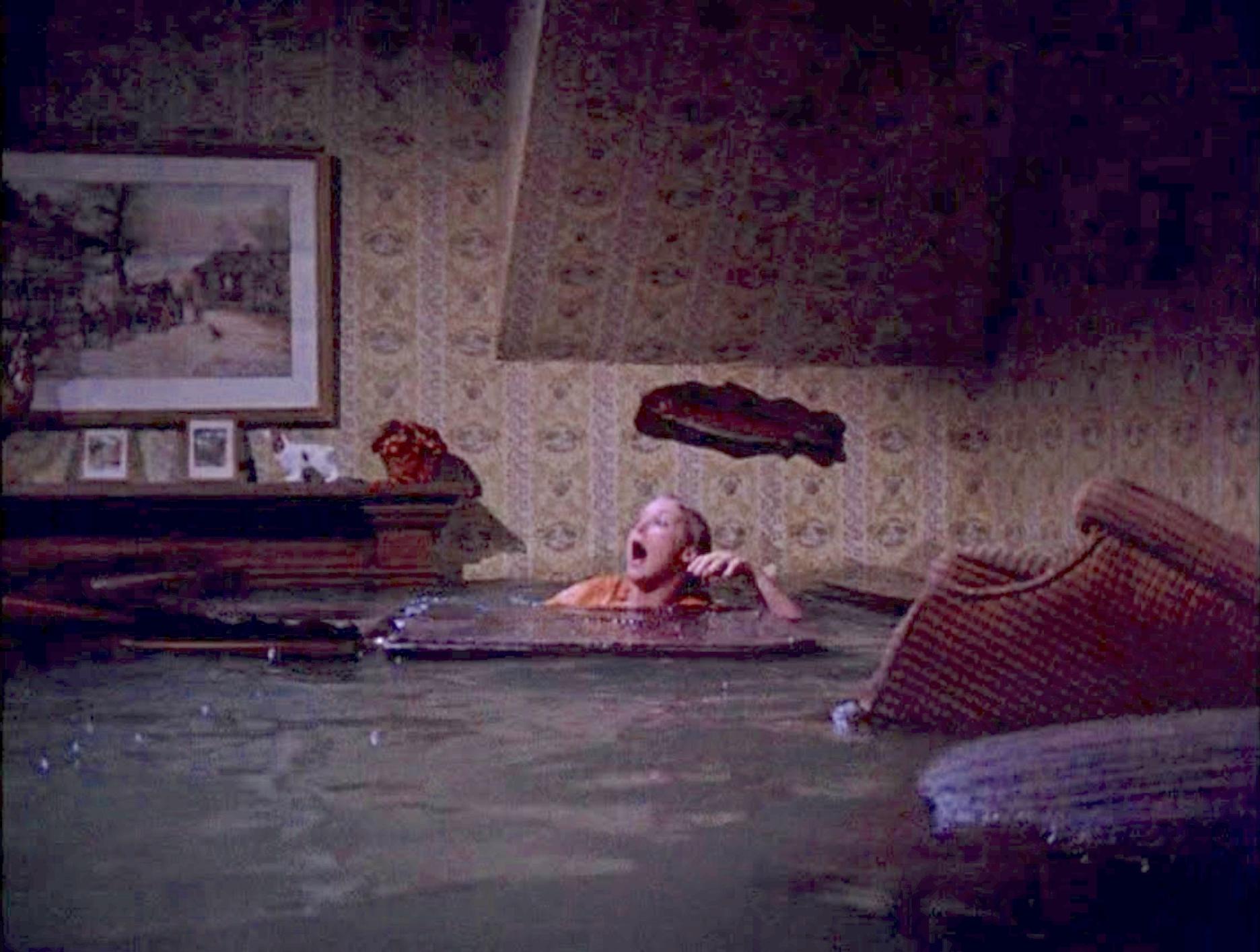 Flood (1976) Screenshot 3