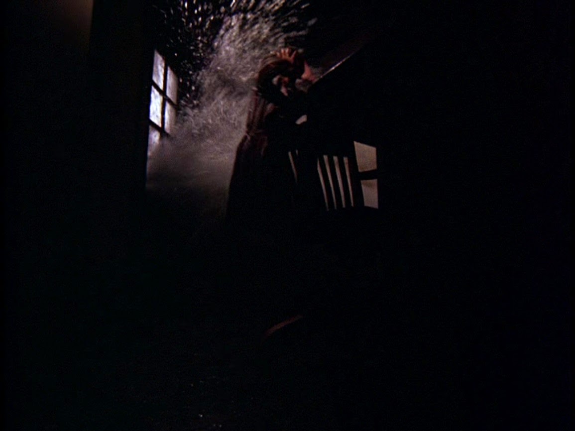 Flood (1976) Screenshot 4