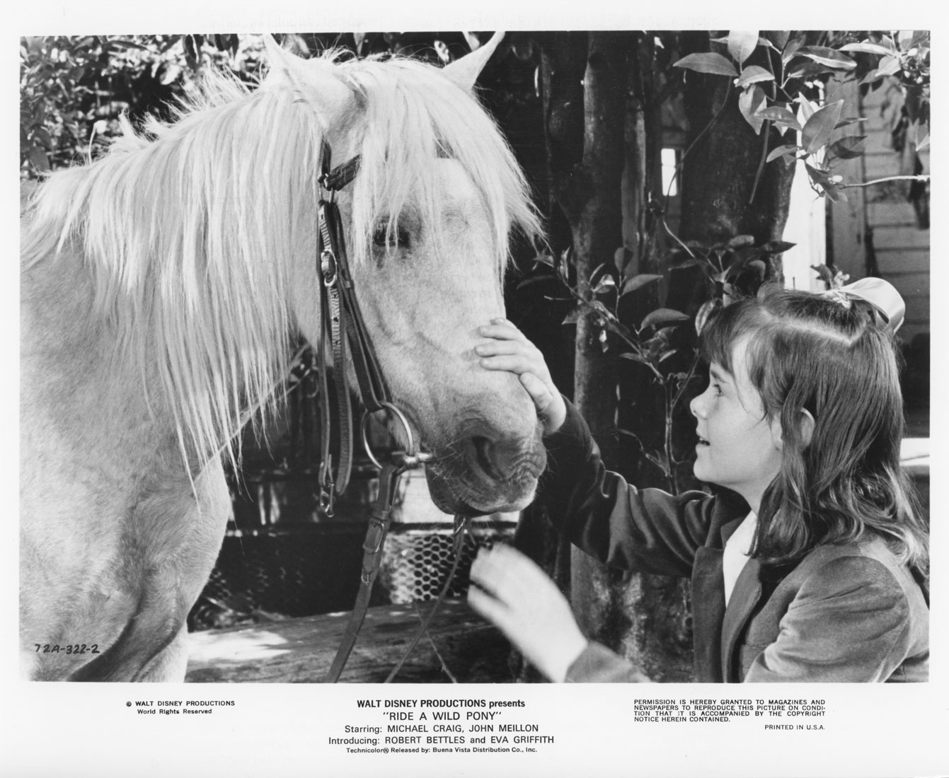 Ride a Wild Pony (1975) Screenshot 1