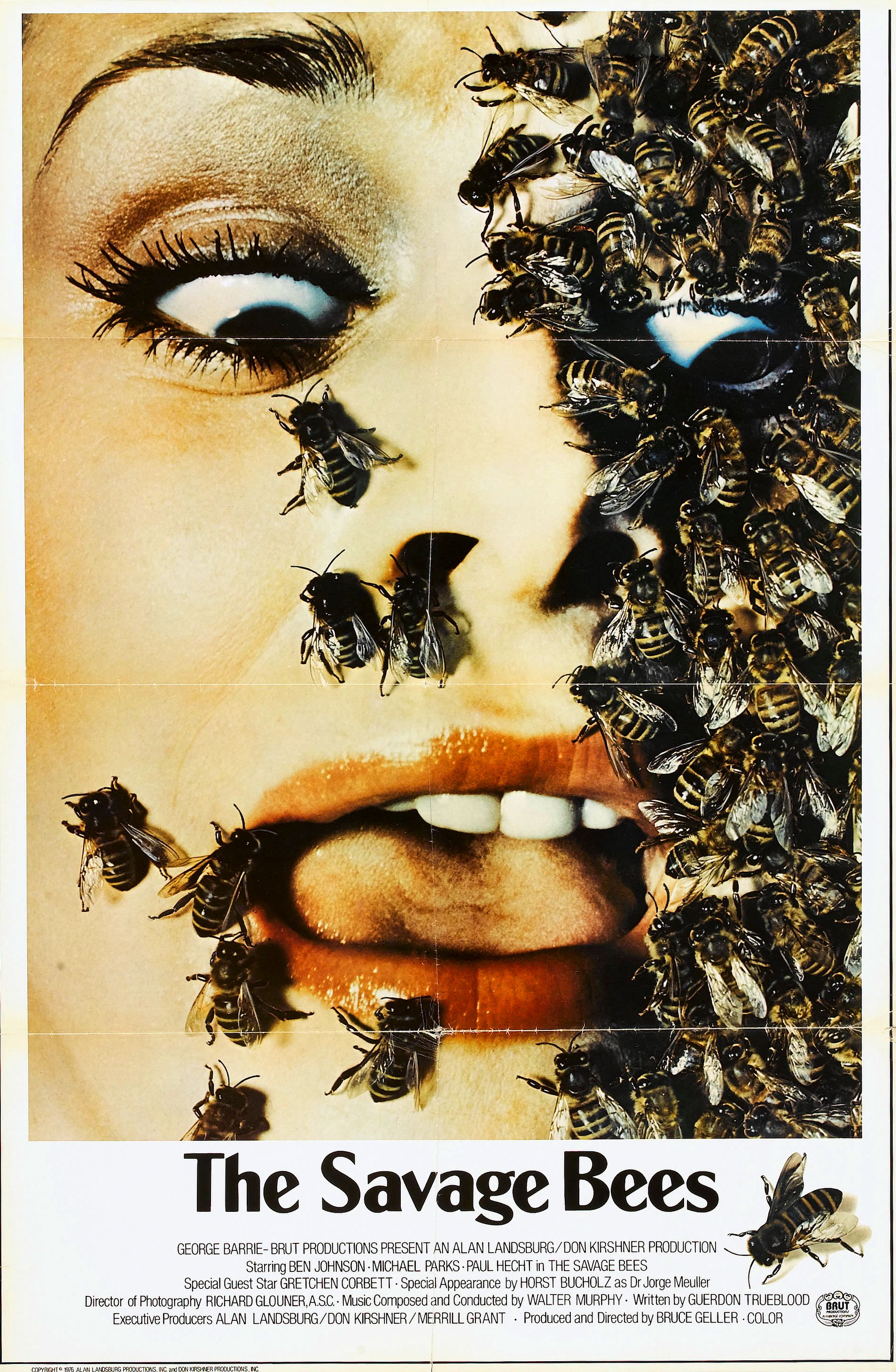 The Savage Bees (1976) starring Ben Johnson on DVD on DVD