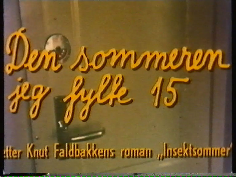 Den sommeren jeg fylte 15 (1976) Screenshot 1