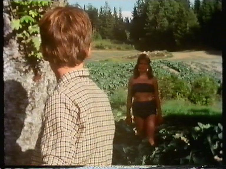 Den sommeren jeg fylte 15 (1976) Screenshot 2