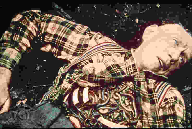 Squirm (1976) Screenshot 1