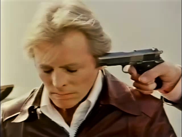 Delta Fox (1979) Screenshot 2 